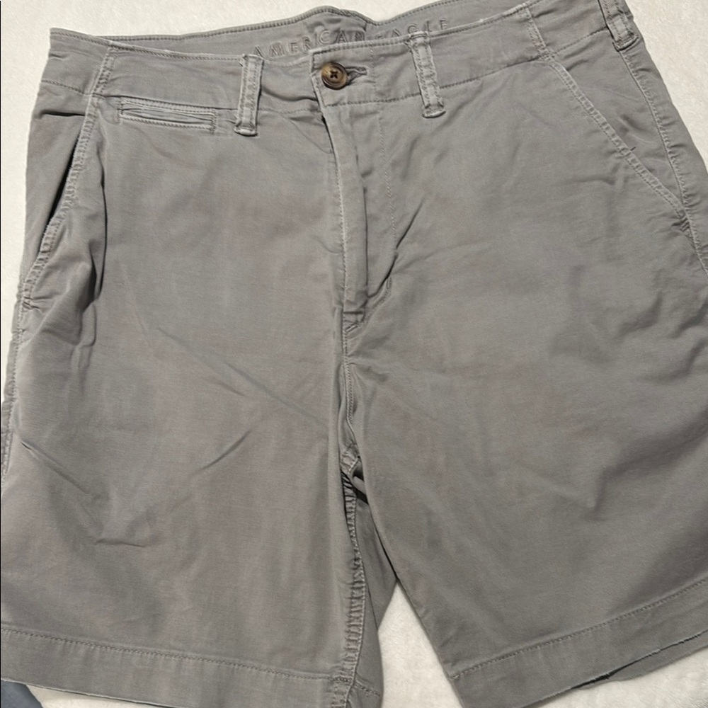 American Eagle Outfitters Gray Flat Front Shorts size 33